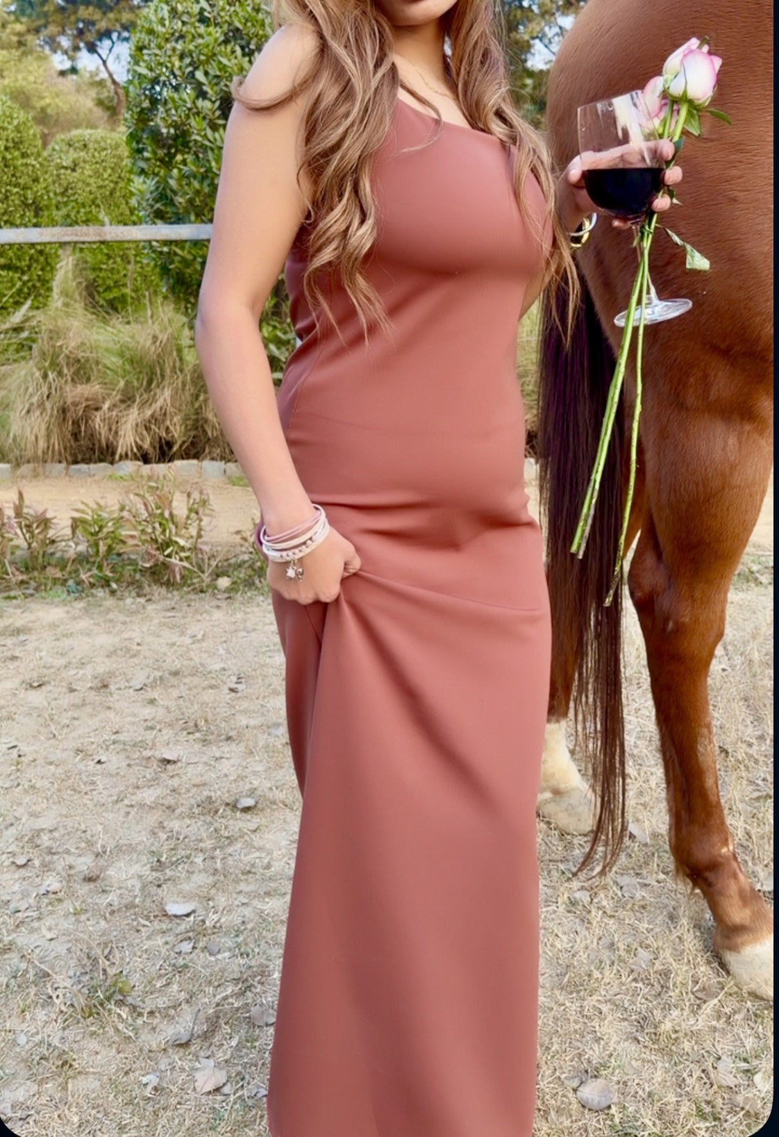 Elara Cocoa Bodycon Long Dress